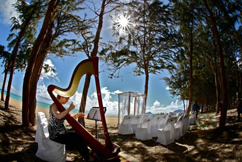 sun shinning through harp on wedding day at the beach